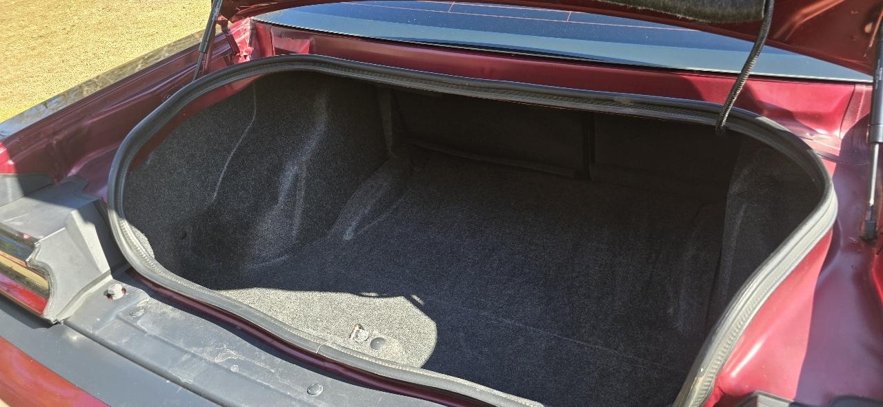 Dodge Challenger R/T Plus 2019