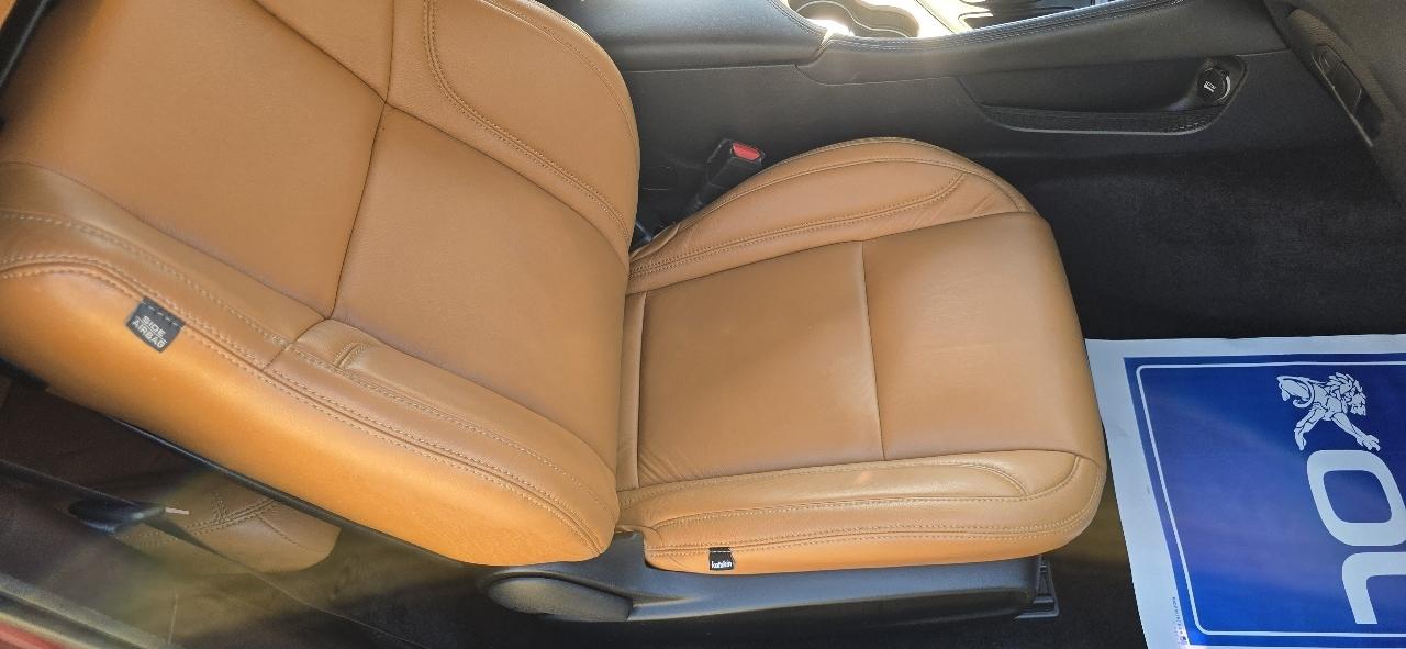 Dodge Challenger R/T Plus 2019