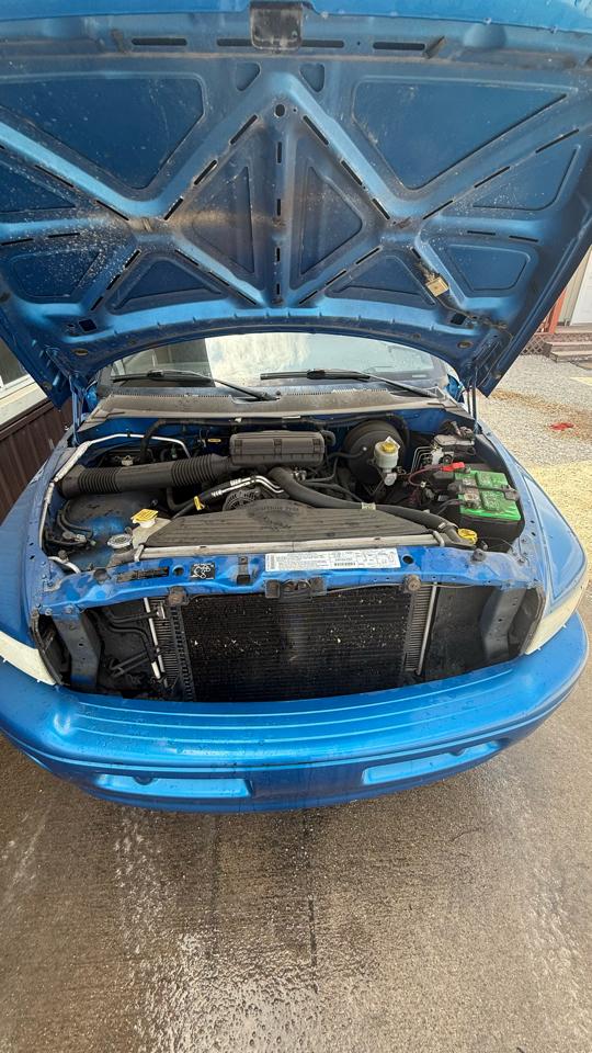 Dodge Ram 1500 Reg. Cab Long Bed 2WD 2000