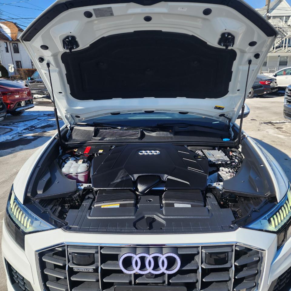 Audi Q8 Premium Plus 55 TFSI quattro 2023