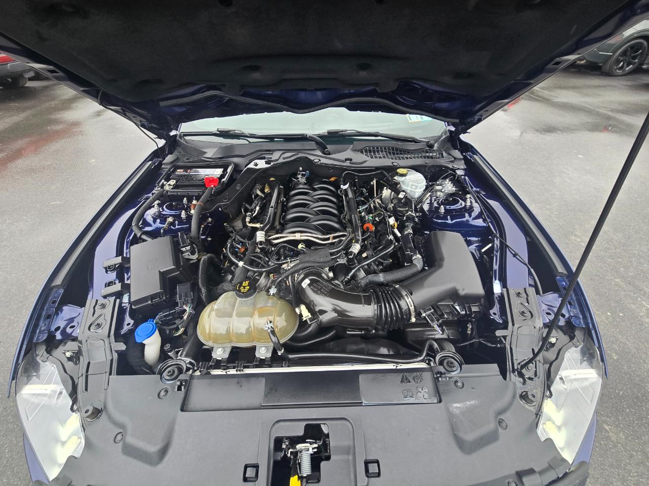 Ford Mustang GT Premium Fastback 2020