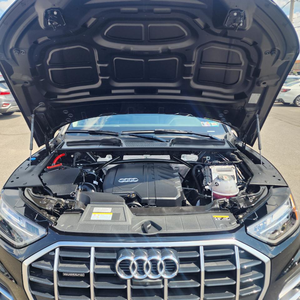 Audi Q5  2023
