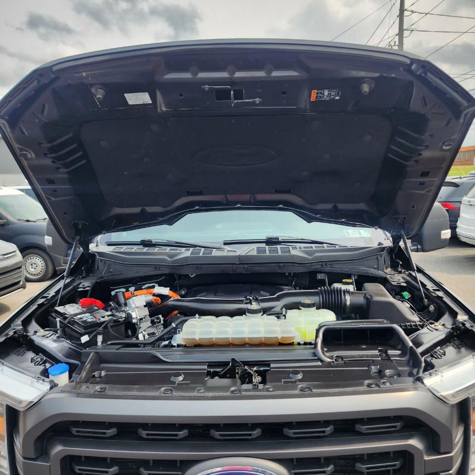 Ford F-150 XLT SuperCrew 4WD 2023