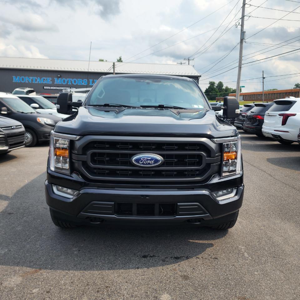 Ford F-150 XLT SuperCrew 4WD 2023