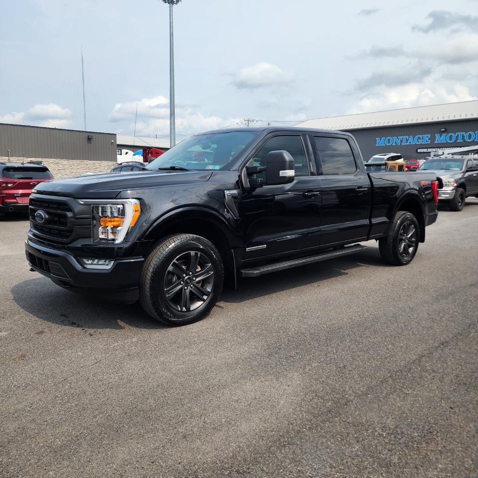 Ford F-150 XLT SuperCrew 4WD 2023