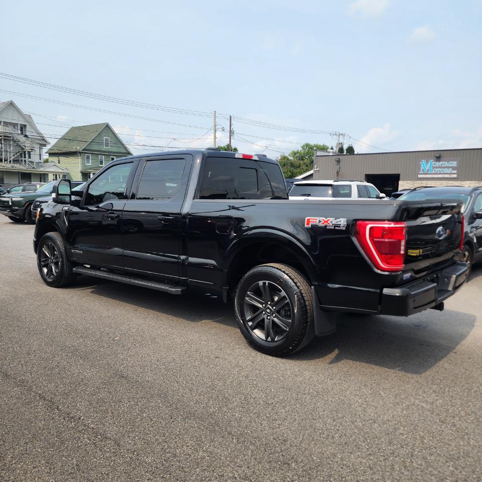 Ford F-150 XLT SuperCrew 4WD 2023