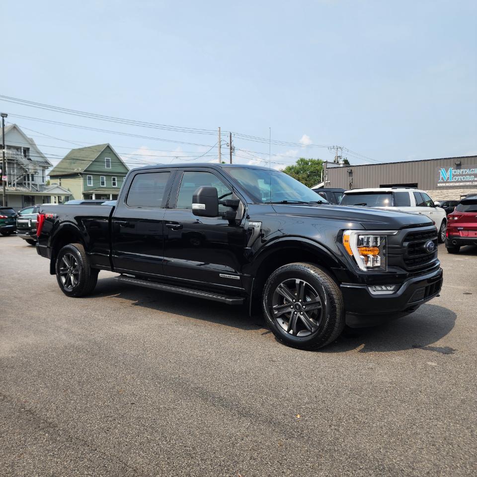 Ford F-150 XLT SuperCrew 4WD 2023