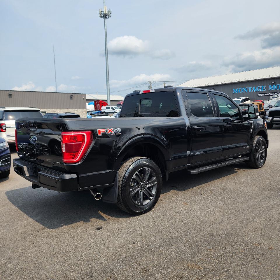 Ford F-150 XLT SuperCrew 4WD 2023
