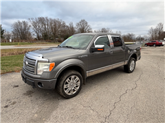 2010 Ford F-150 