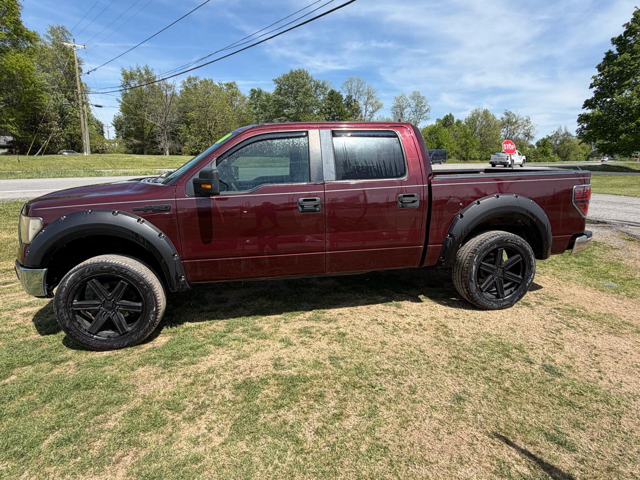 Ford F-150 XLT SuperCrew 6.5-ft. Bed 4WD 2010