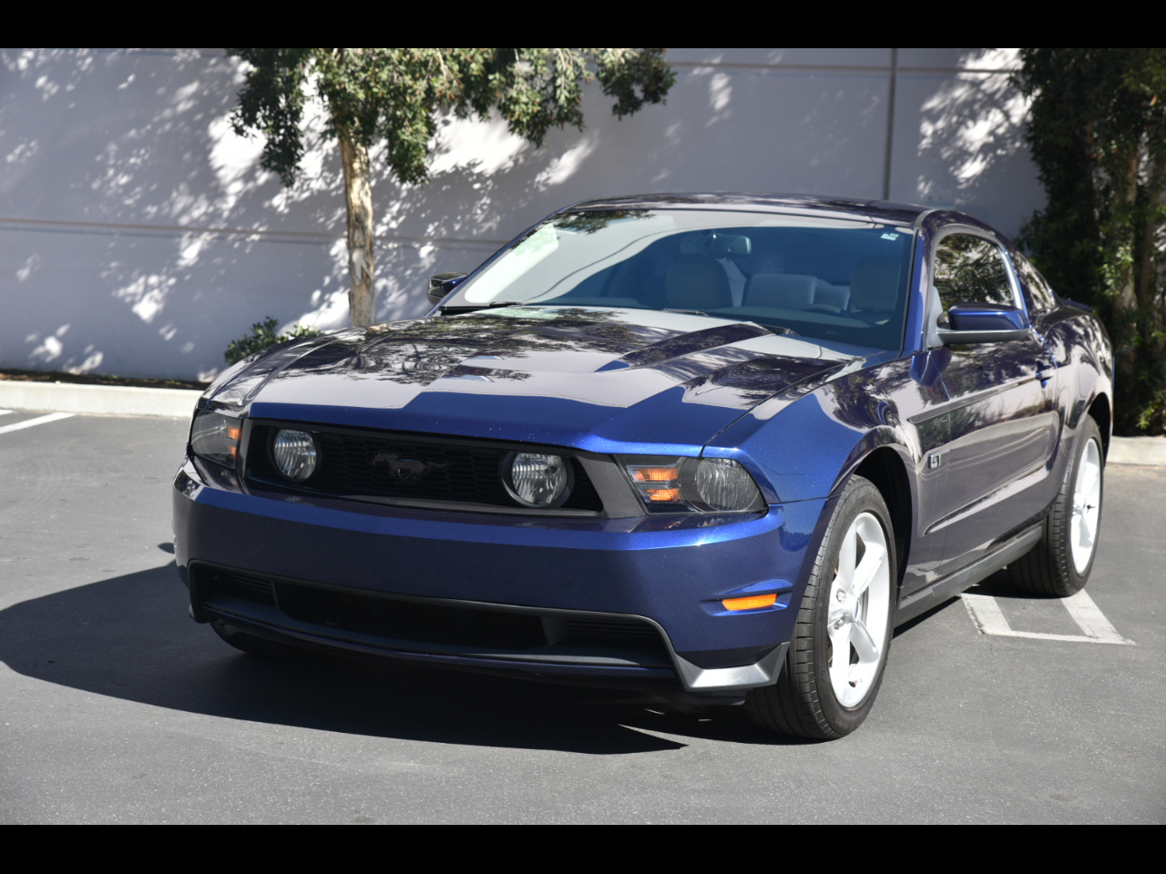 Ford Mustang  2010