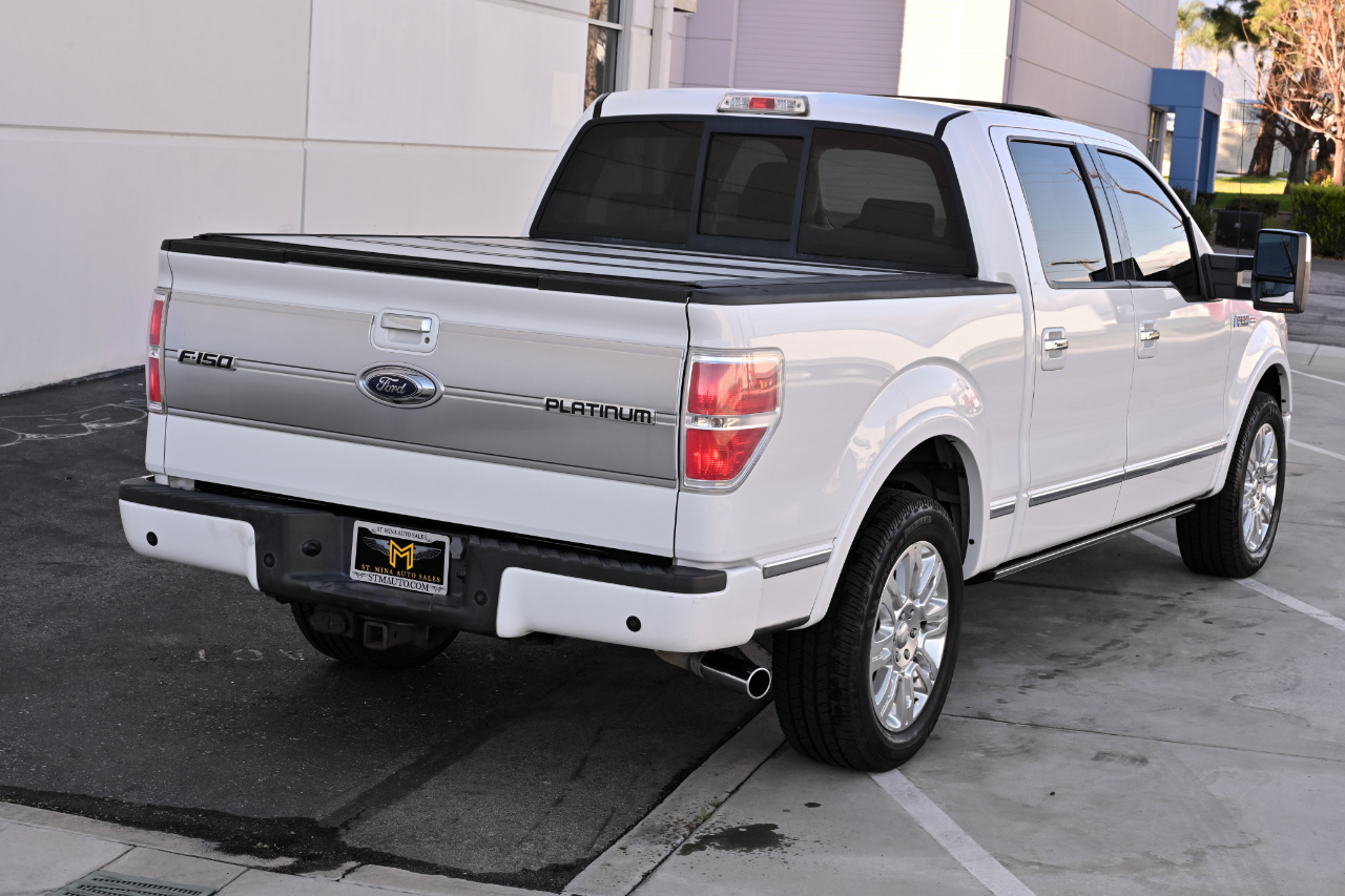 Ford F-150 2WD SuperCrew 145" Platinum 2009