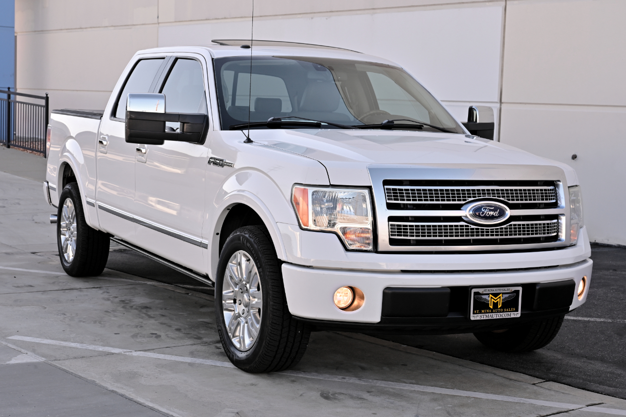 Ford F-150 2WD SuperCrew 145" Platinum 2009