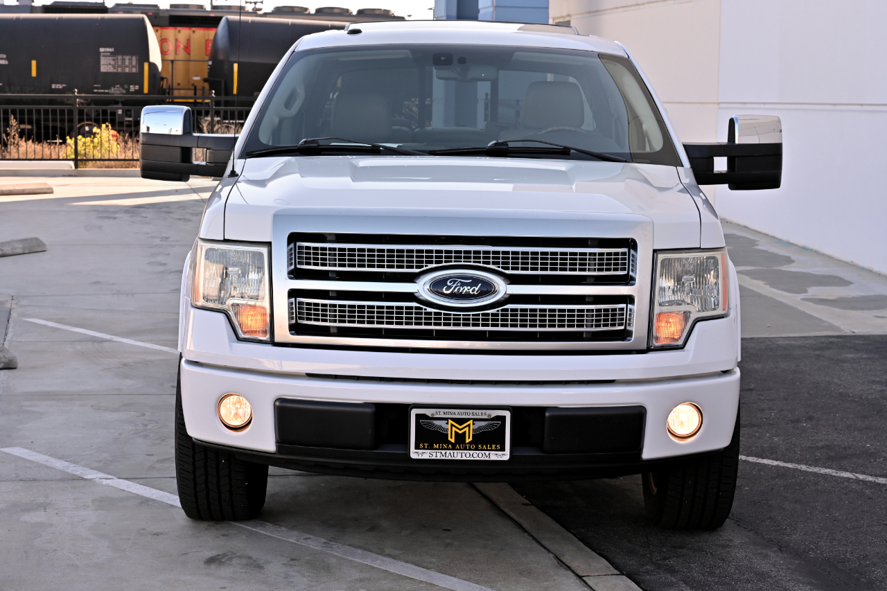 Ford F-150 2WD SuperCrew 145" Platinum 2009