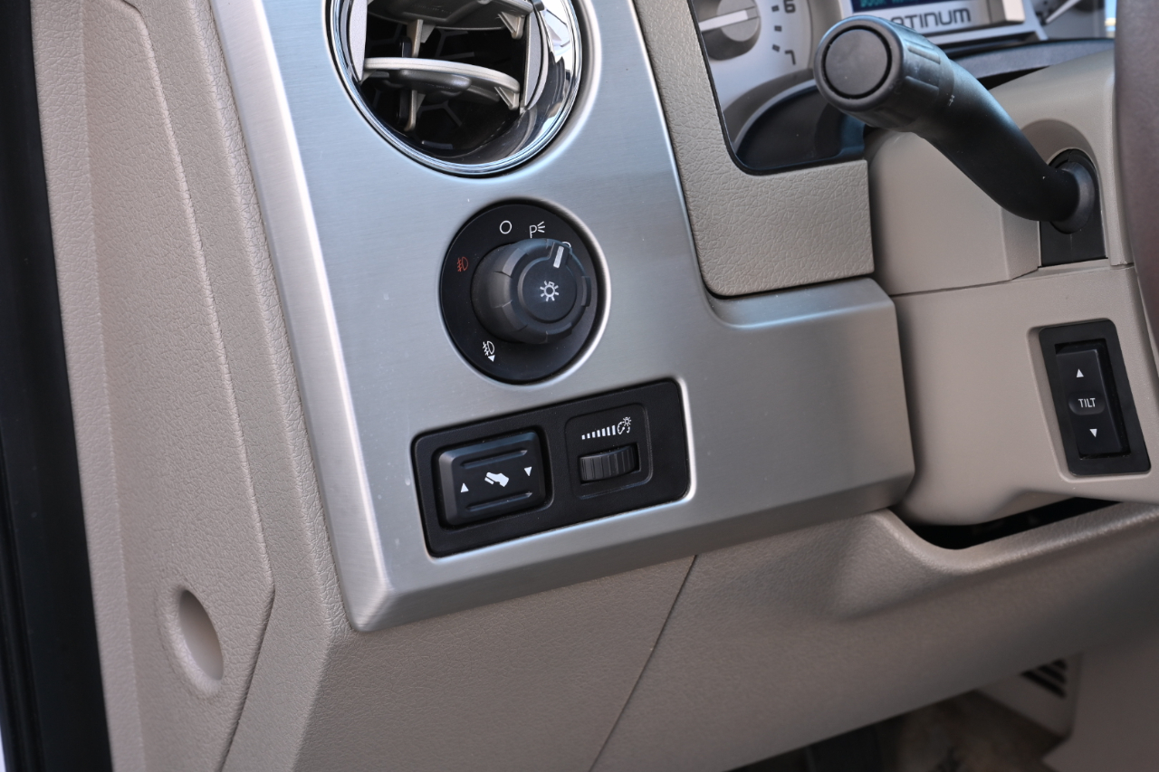 Ford F-150 2WD SuperCrew 145" Platinum 2009