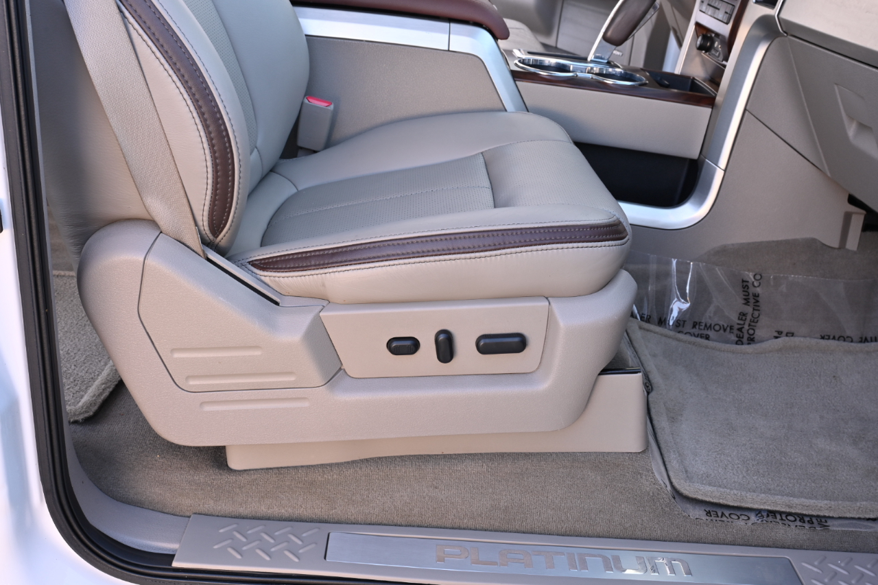 Ford F-150 2WD SuperCrew 145" Platinum 2009