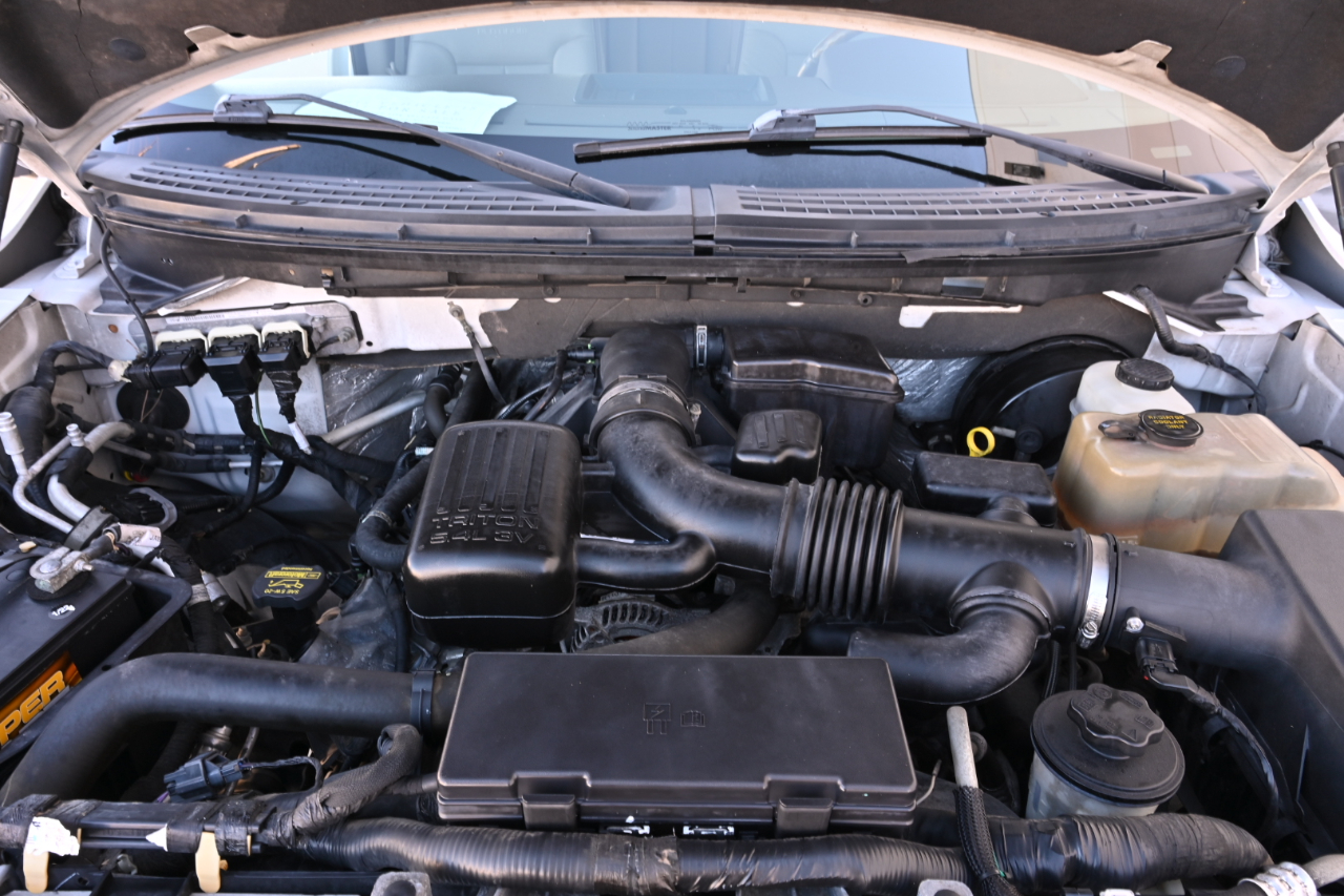 Ford F-150 2WD SuperCrew 145" Platinum 2009