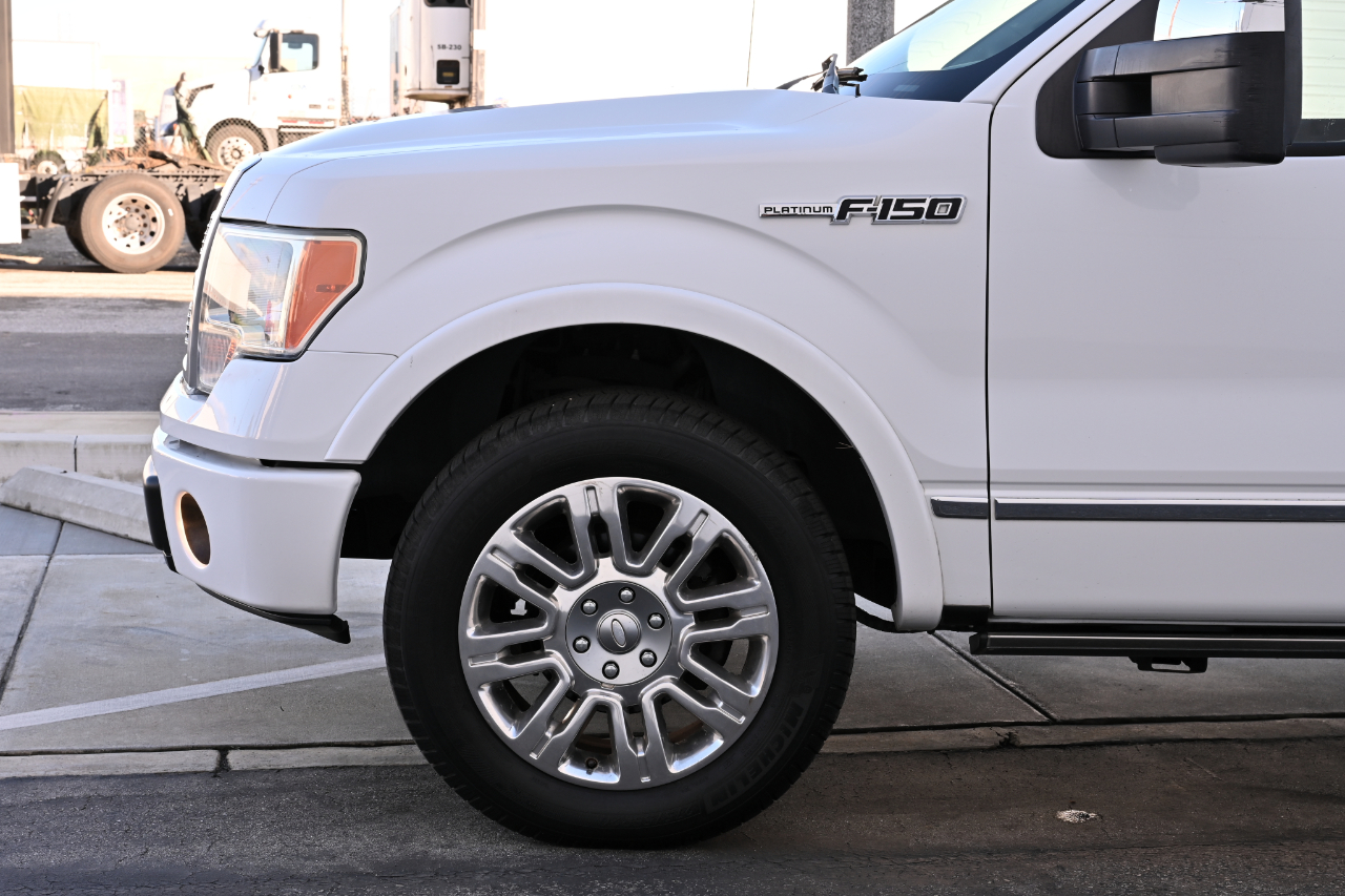 Ford F-150 2WD SuperCrew 145" Platinum 2009
