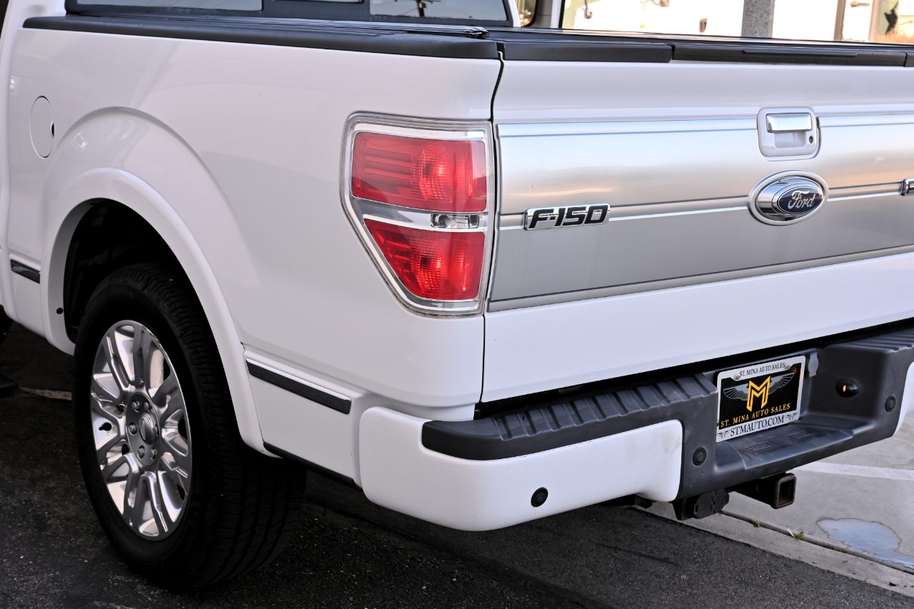 Ford F-150 2WD SuperCrew 145" Platinum 2009