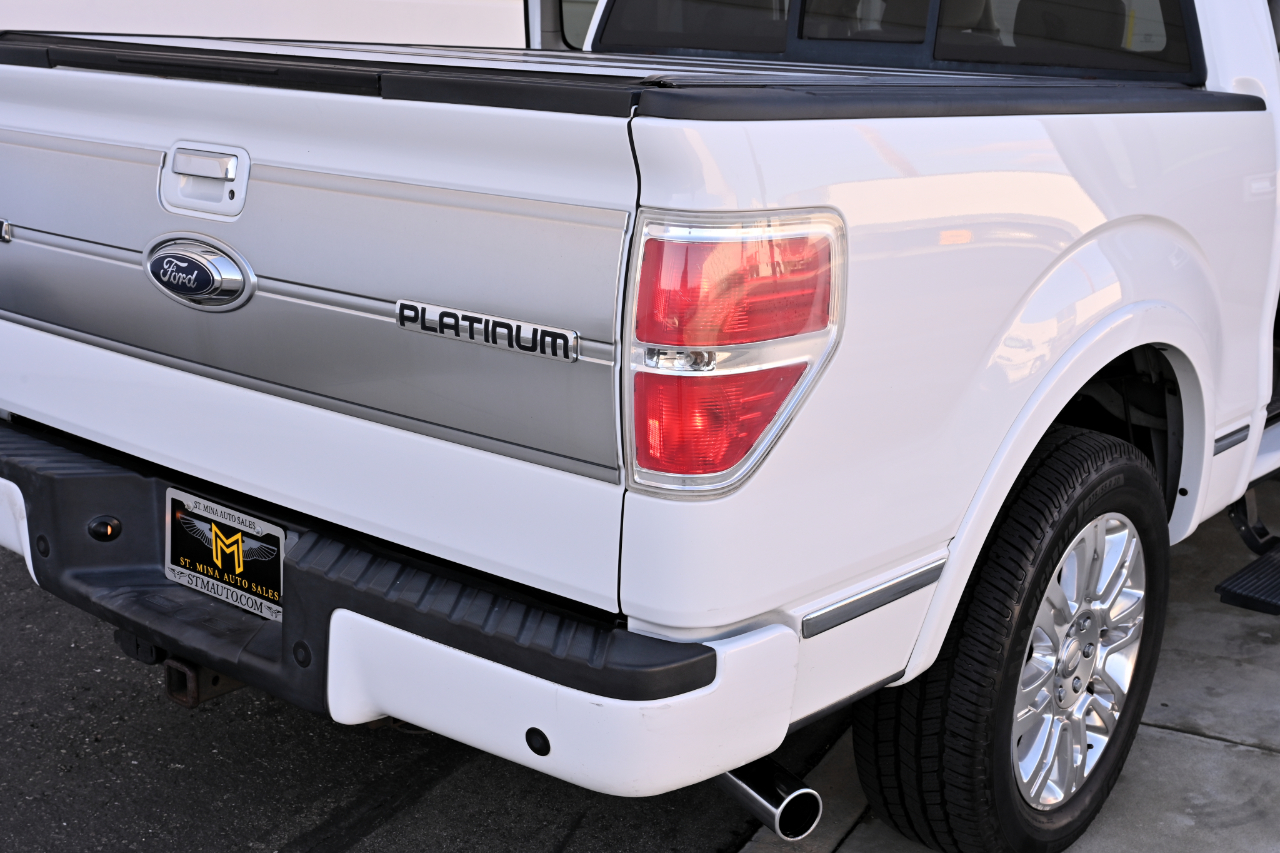 Ford F-150 2WD SuperCrew 145" Platinum 2009