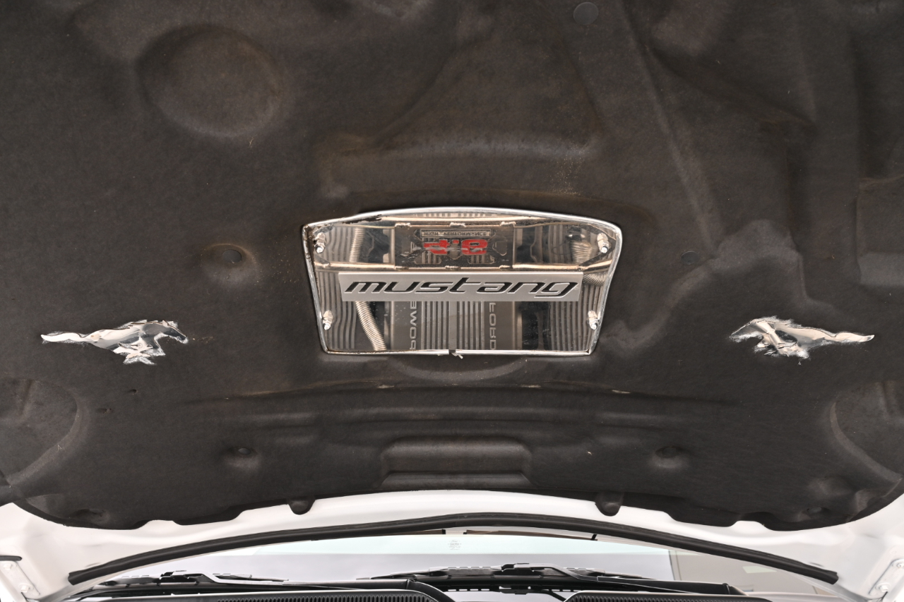 Ford Mustang GT Premium Convertible 2008