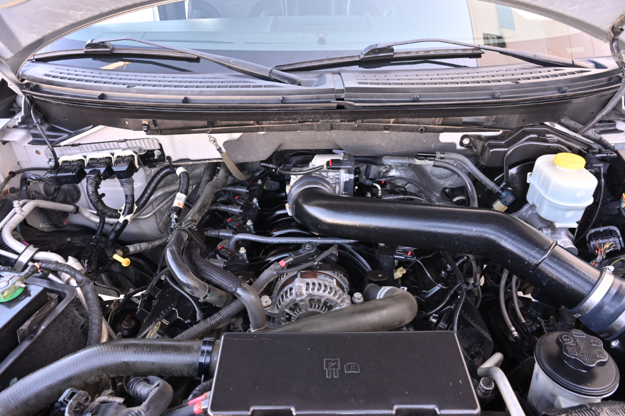 Ford F-150 4WD SuperCrew 145" SVT Raptor 2014