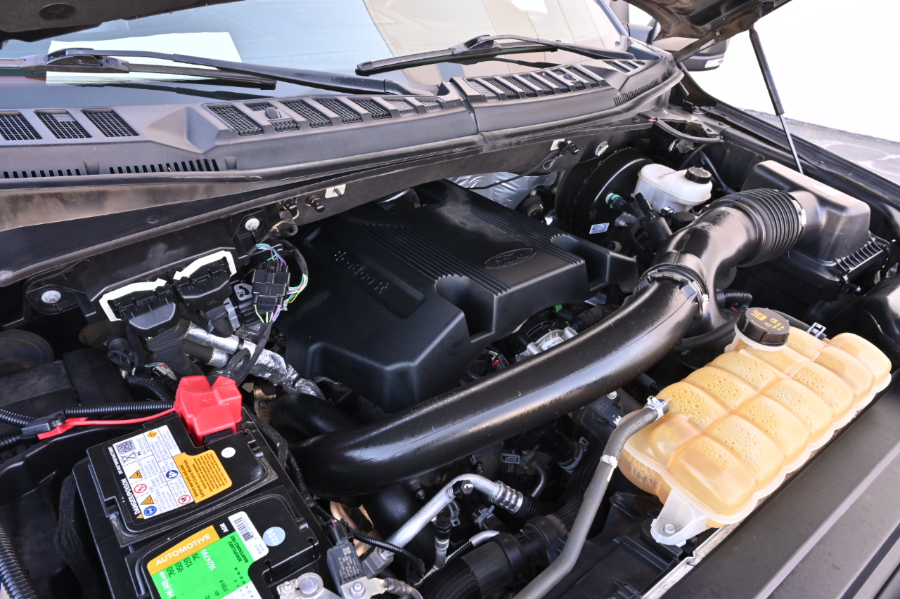 Ford F-150  2019
