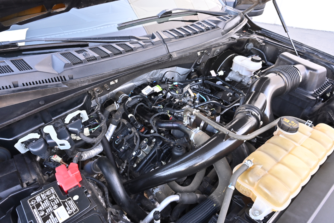 Ford F-150  2019