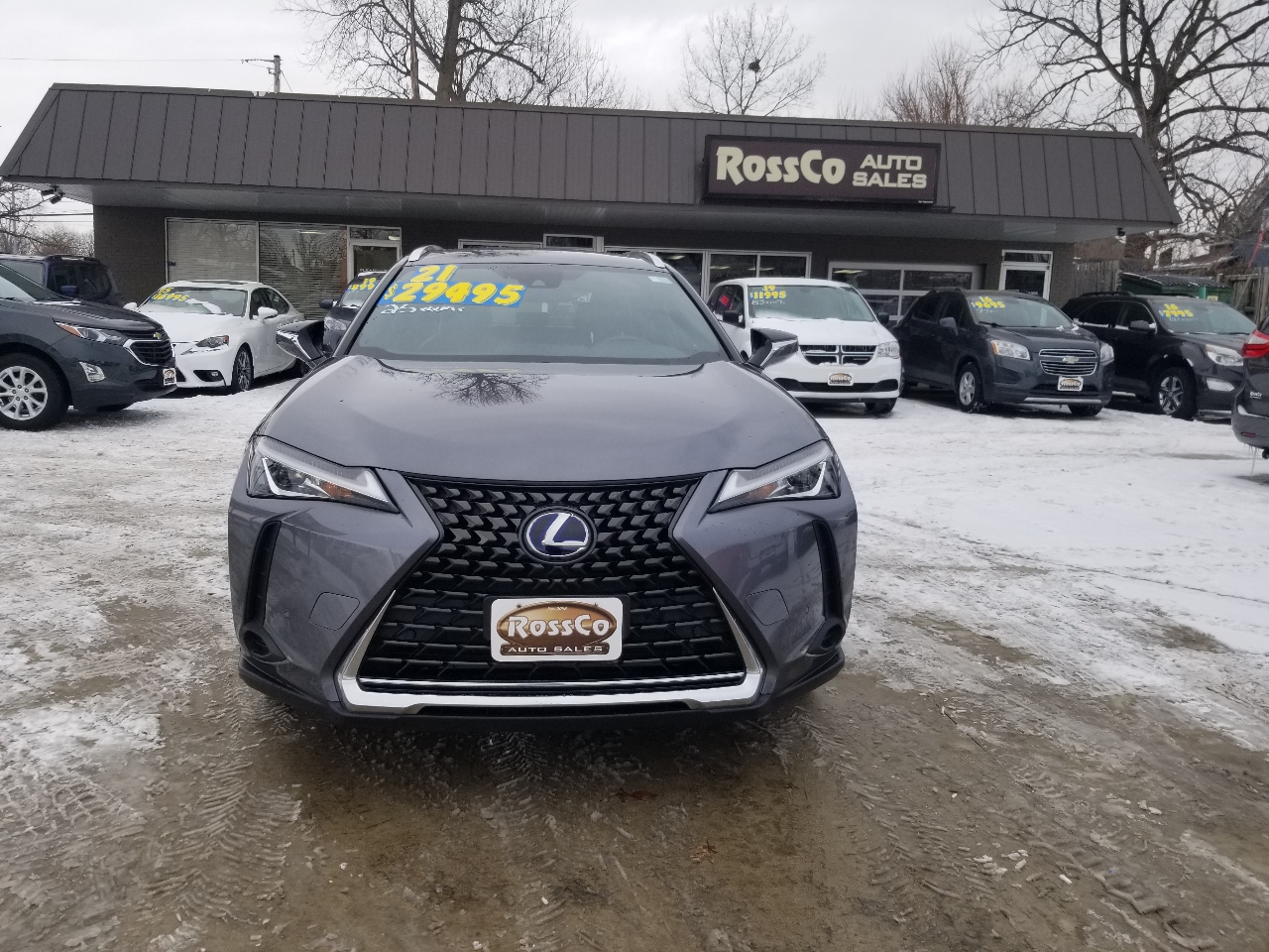 Lexus UX UX 250h AWD 2021