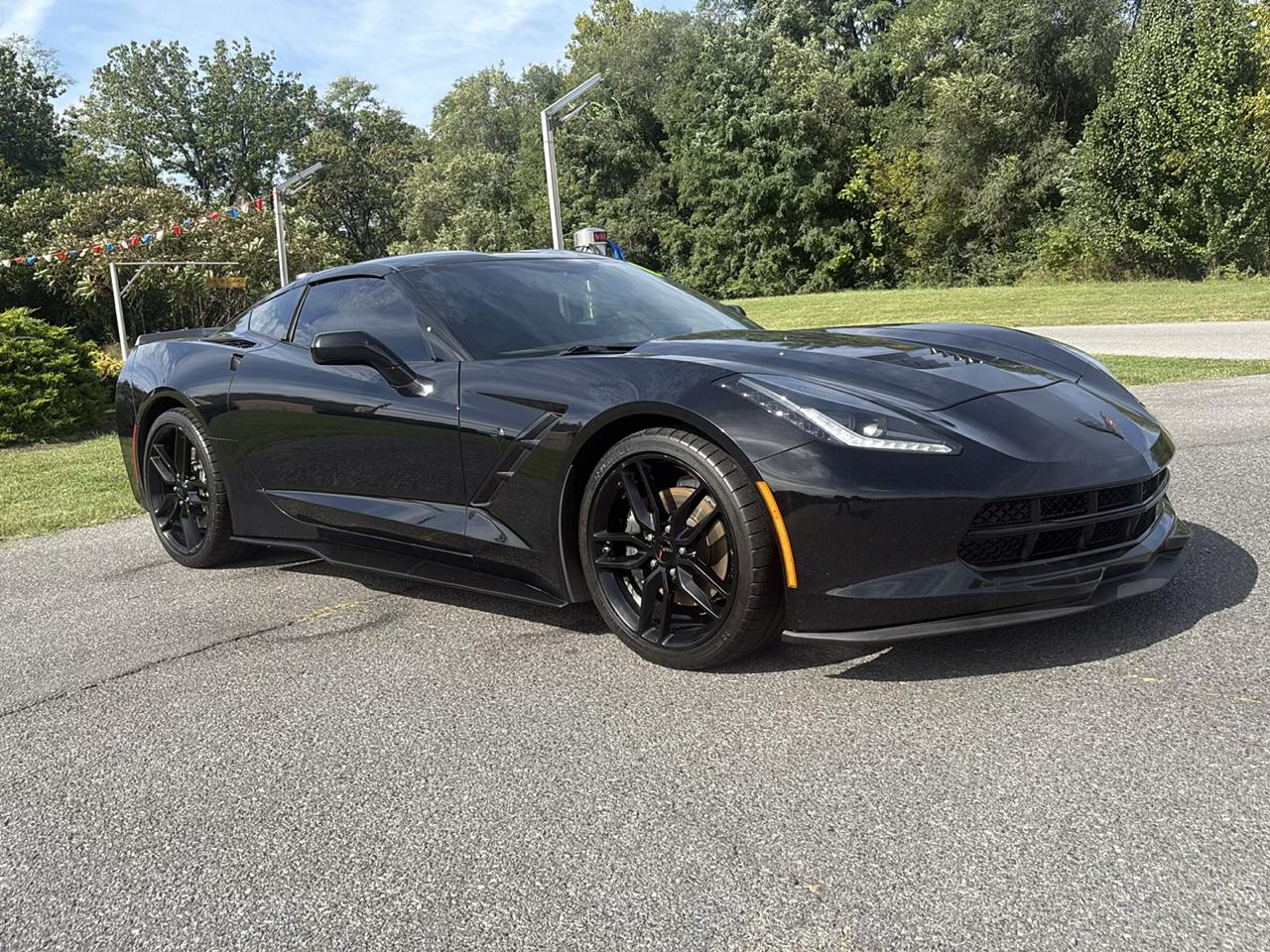 Chevrolet Corvette photo 3