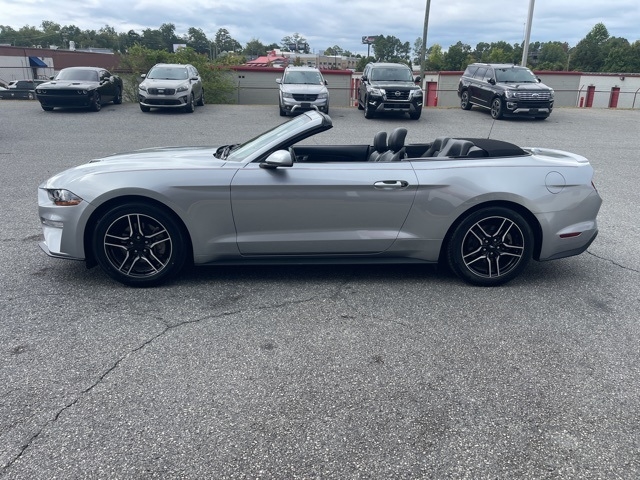 Ford Mustang EcoBoost Convertible 2023