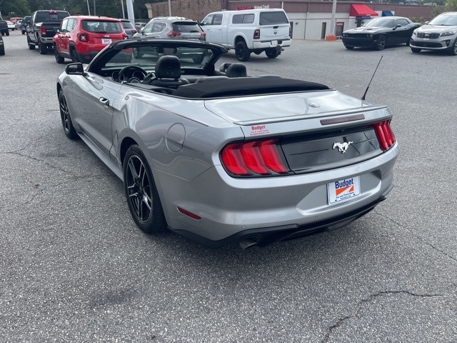 Ford Mustang EcoBoost Convertible 2023