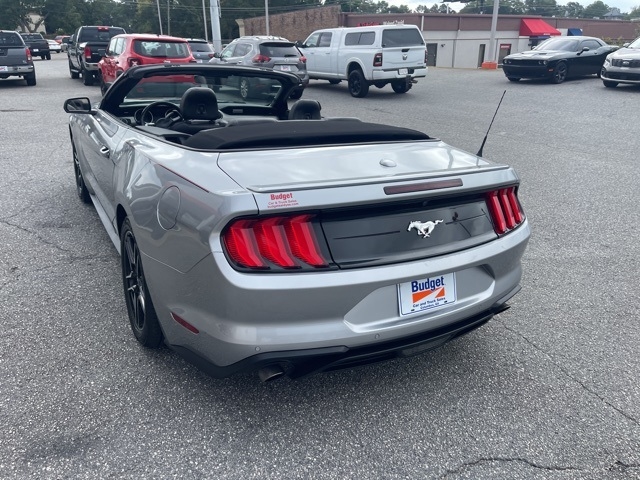 Ford Mustang EcoBoost Convertible 2023