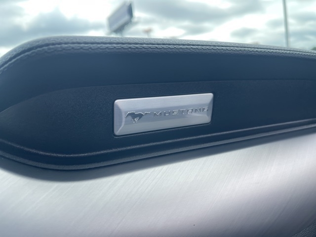 Ford Mustang EcoBoost Convertible 2023