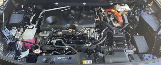 Toyota RAV4 Hybrid XSE AWD (Natl) 2020