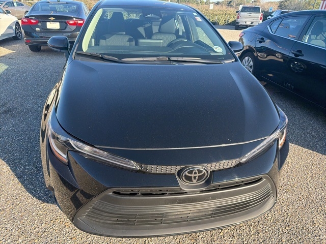 Toyota Corolla LE CVT (Natl) 2025