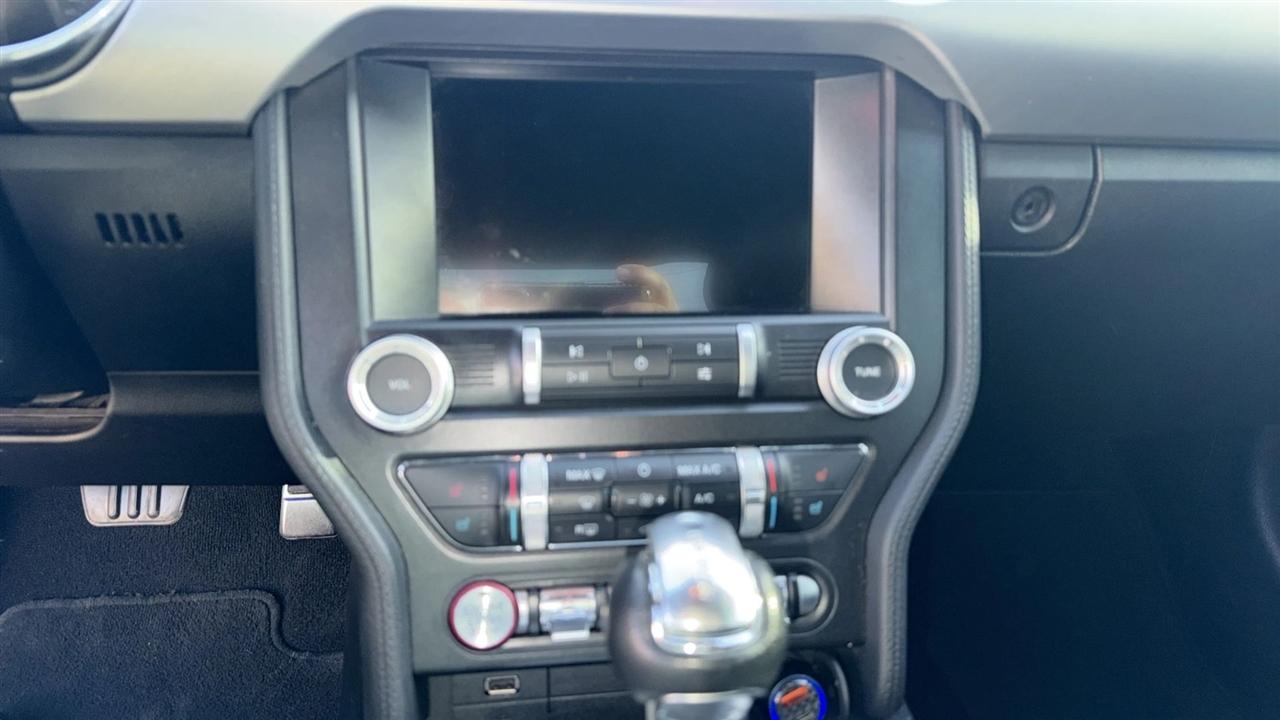 Ford Mustang GT Fastback 2020