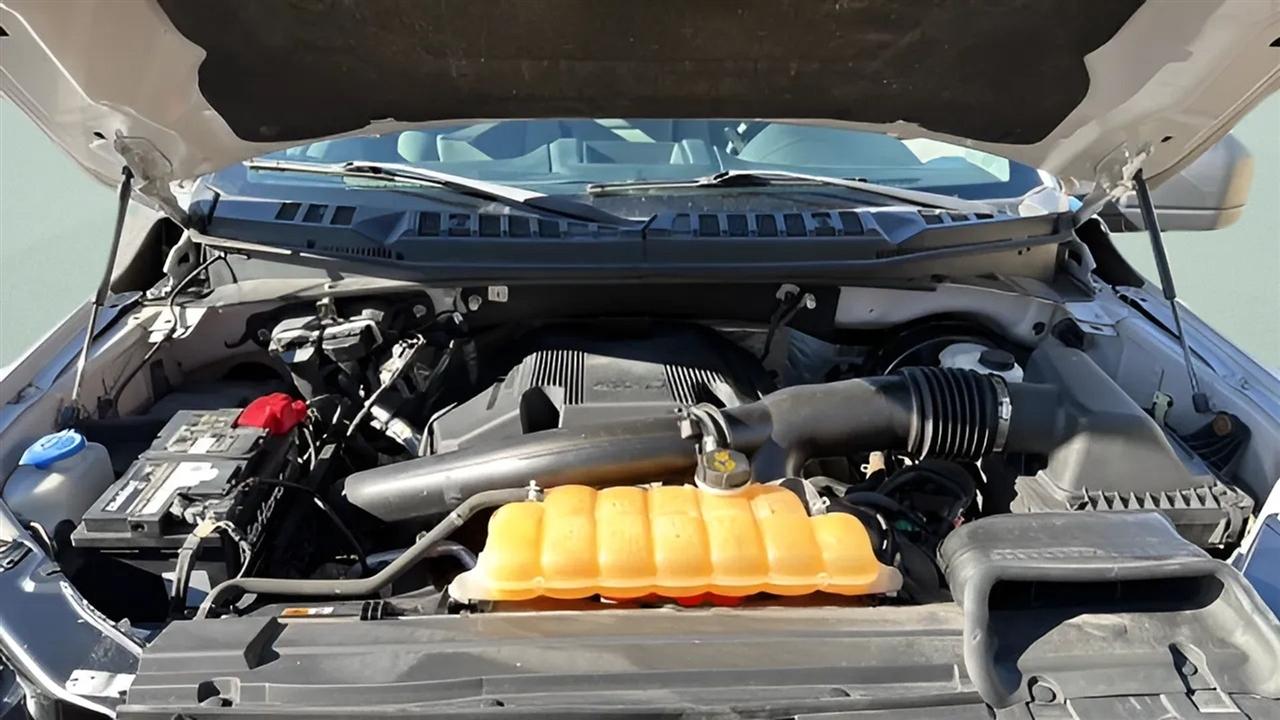 Ford F-150 XL 2WD Reg Cab 8' Box 2018