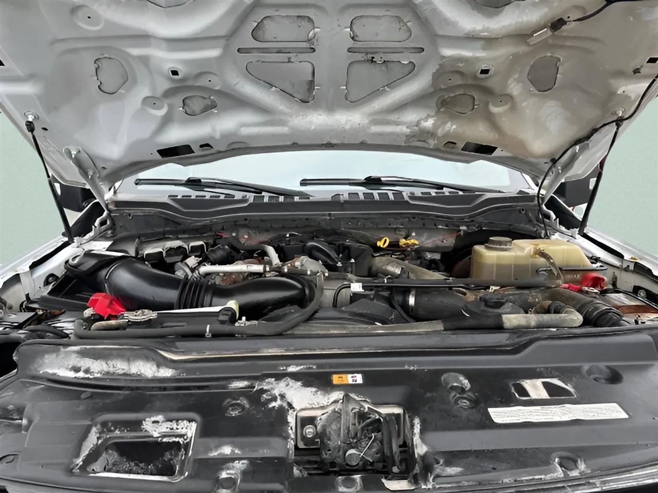 Ford Super Duty F-250 SRW XL 4WD Crew Cab 6.75' Box 2019