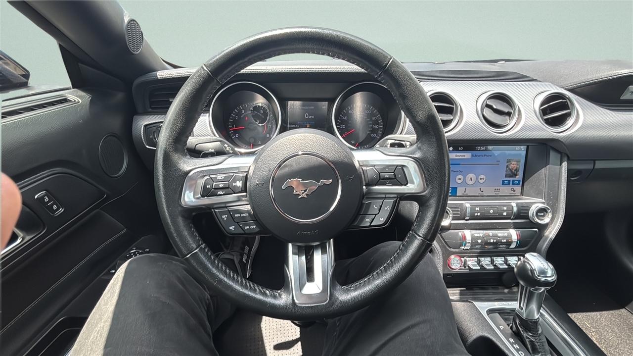 Ford Mustang EcoBoost Fastback 2019