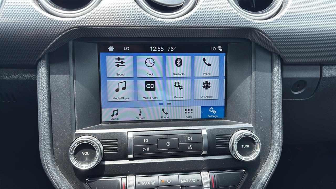 Ford Mustang EcoBoost Fastback 2019
