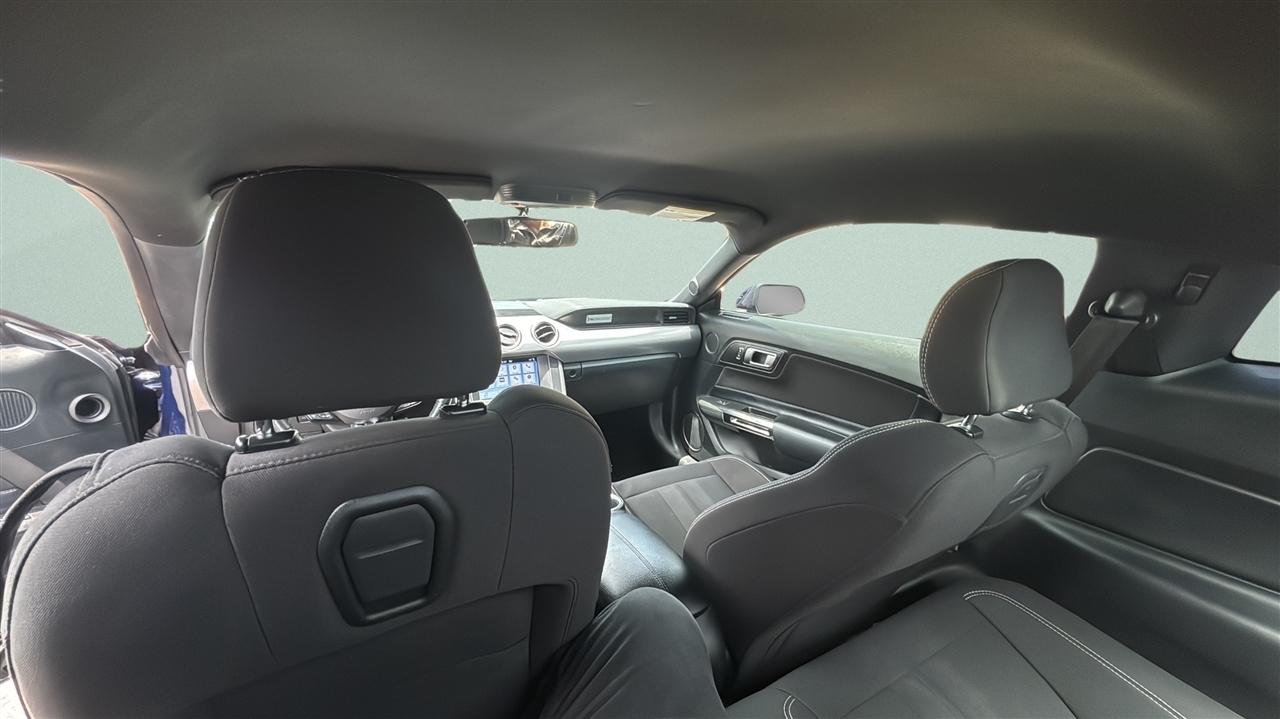 Ford Mustang EcoBoost Fastback 2019