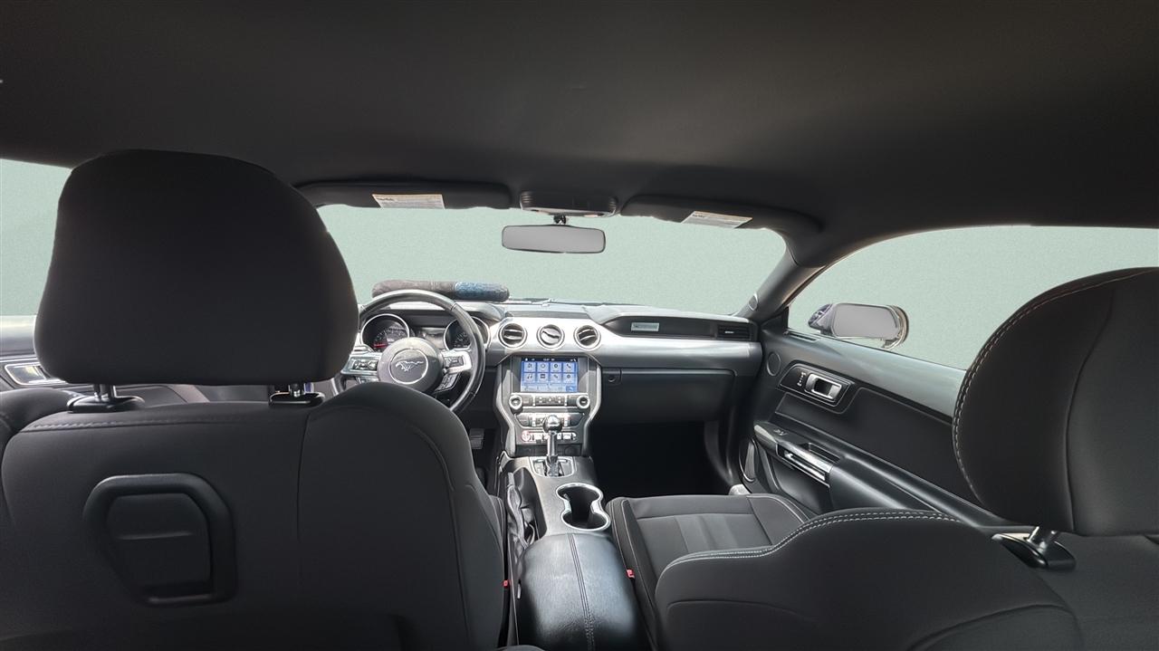 Ford Mustang EcoBoost Fastback 2019