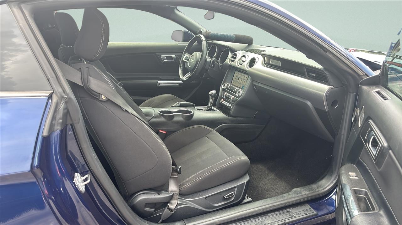 Ford Mustang EcoBoost Fastback 2019