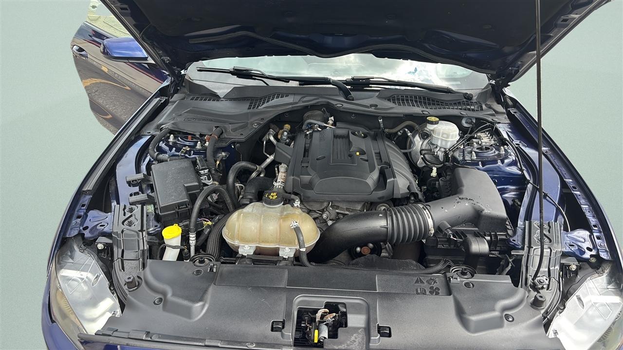 Ford Mustang EcoBoost Fastback 2019