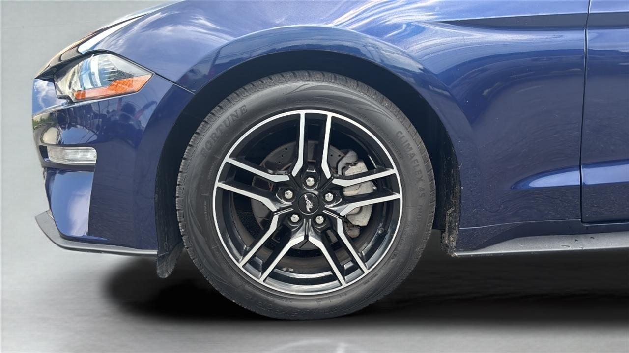 Ford Mustang EcoBoost Fastback 2019