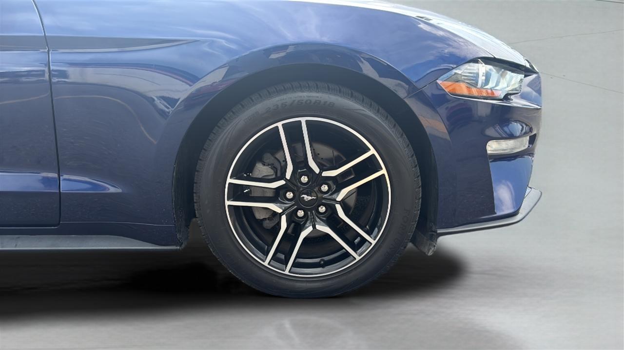 Ford Mustang EcoBoost Fastback 2019