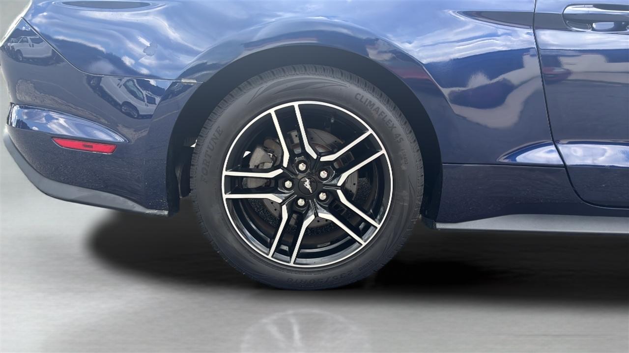 Ford Mustang EcoBoost Fastback 2019