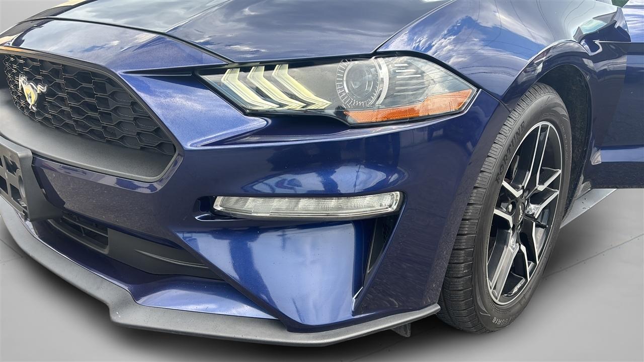 Ford Mustang EcoBoost Fastback 2019