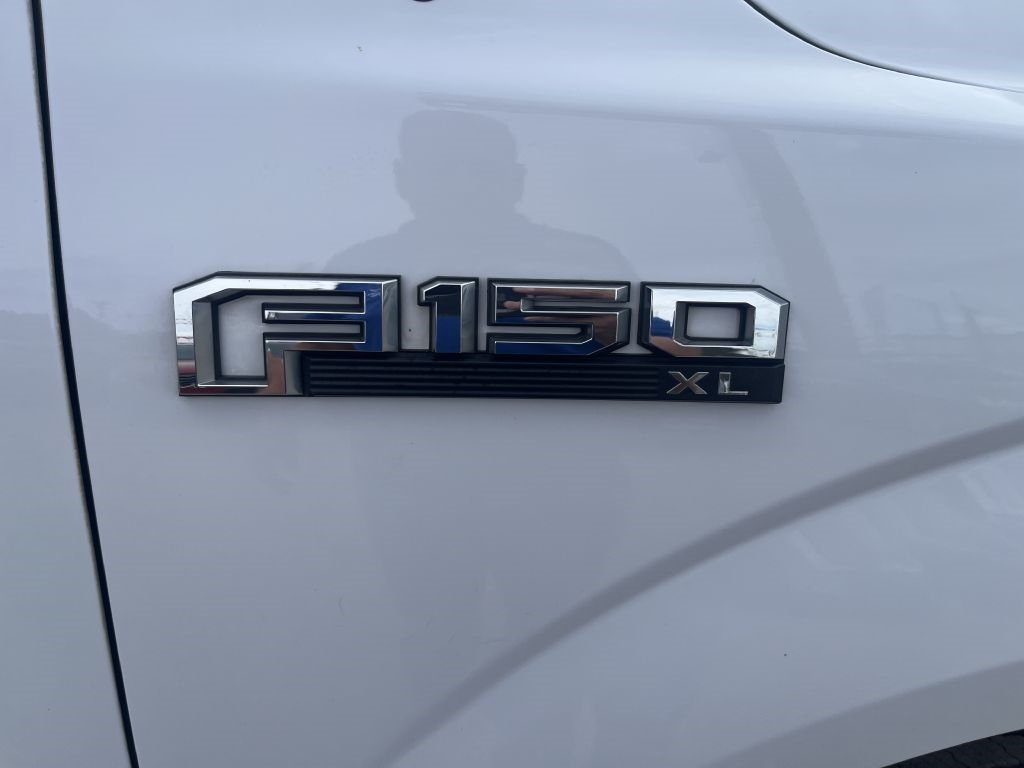 Ford F-150 XL 8-ft. Bed 2WD 2019 Ford F-150 XL 8-ft. Bed 2WD 2019